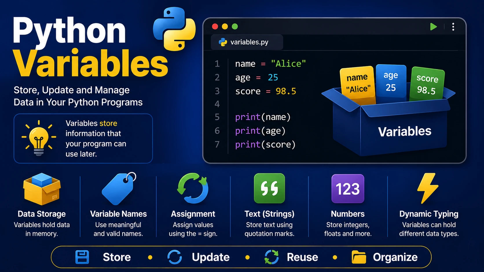 Python Variables