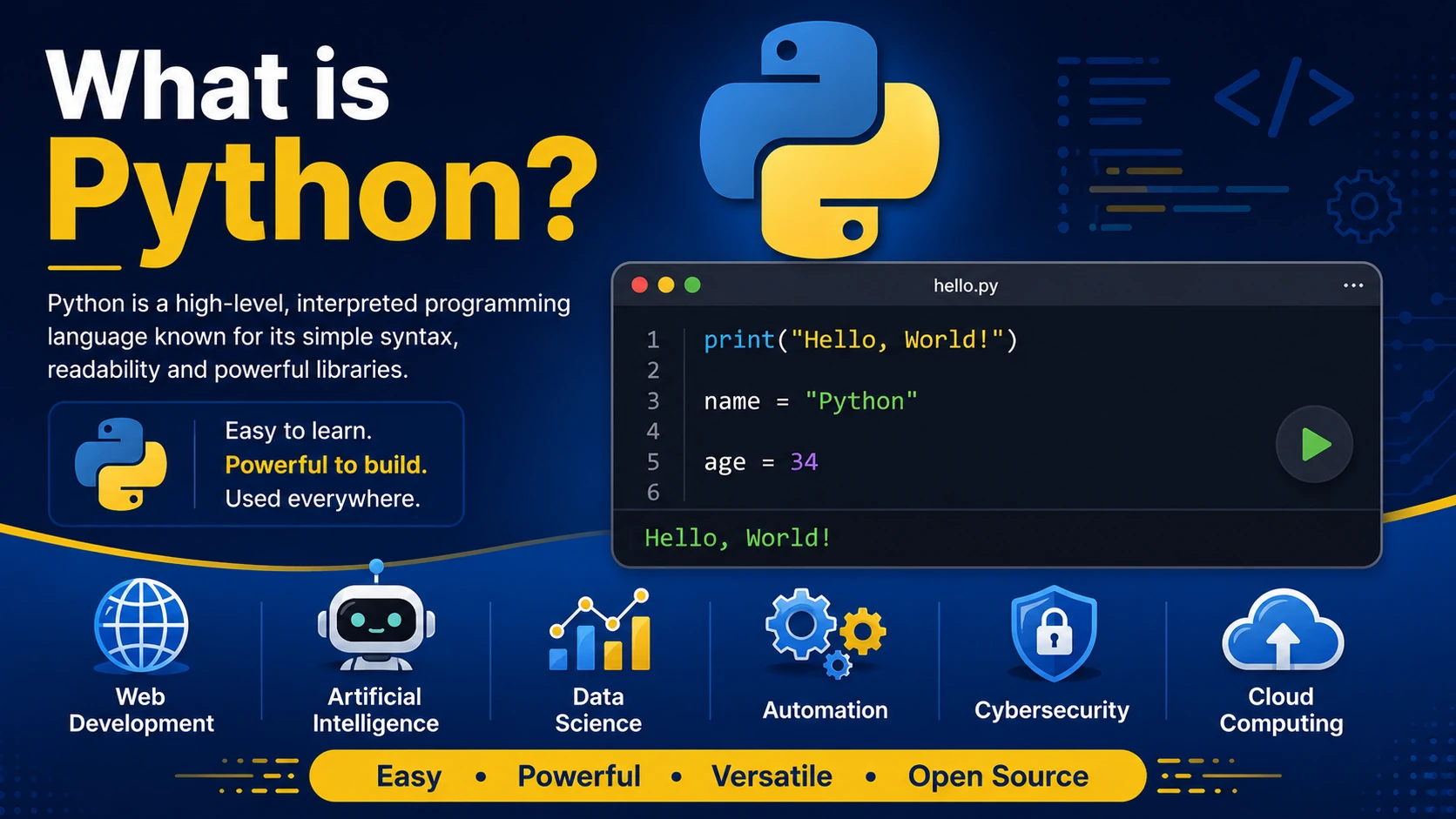 What is Python?